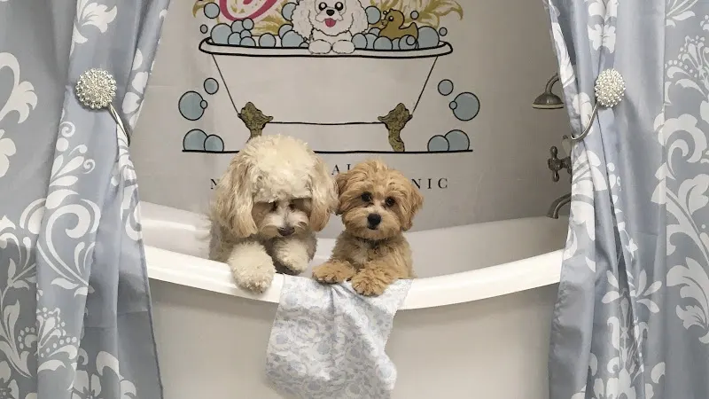 Barking Bubbles Spa in Diamond Bar, CA