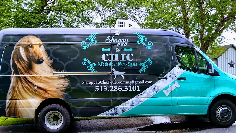 Shaggy to Chic Mobile Pet Spa - Image 1