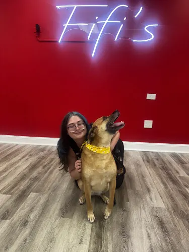 Fifis Dog Grooming Salon - Image 1