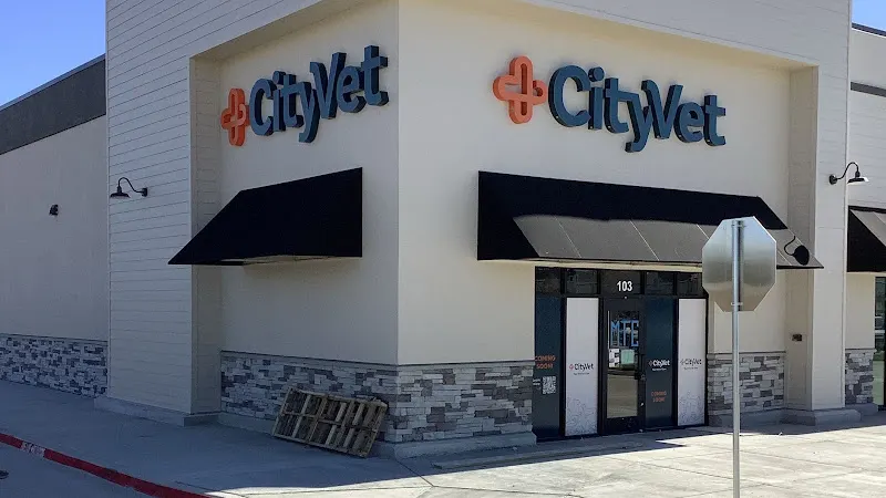 CityVet | Providence - Image 1
