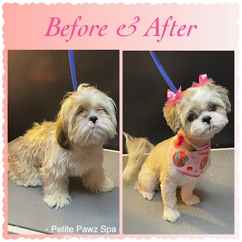 Petite Pawz Spa Mobile Grooming - Image 1