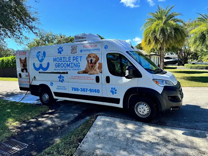 Miami Grooming Pet Care - Image 1