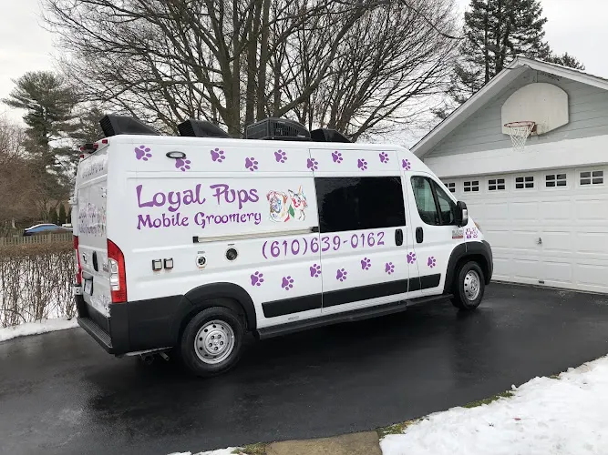Loyal Pups Mobile Groomery - Image 1