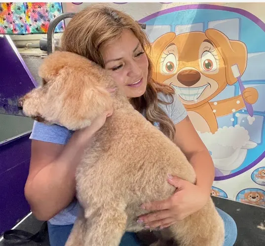 Grace's Mobile Dog Grooming - Image 1