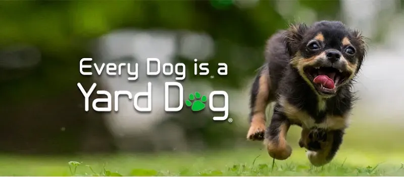 The Yard Dog - Image 1