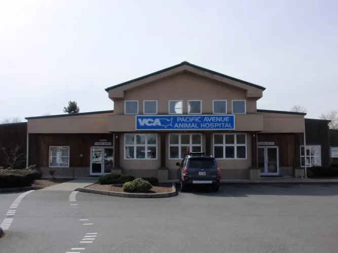 VCA Pacific Avenue Animal Hospital - Image 1