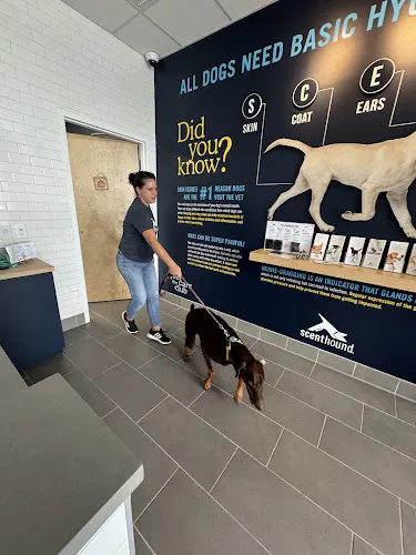Scenthound PBG Northlake - Image 1