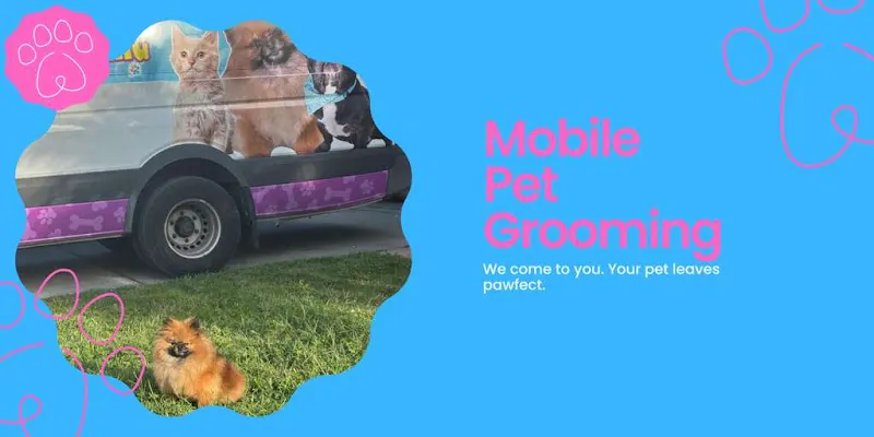 Dismevet Mobile Pet Grooming - Image 1