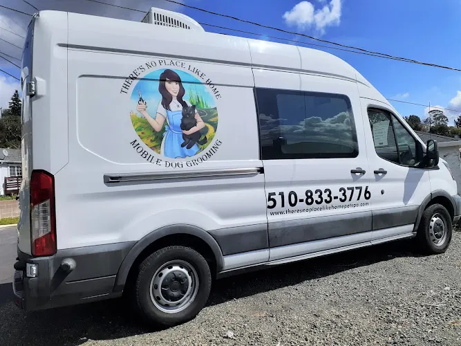 There's no place like home mobile dog grooming - Image 1