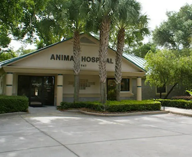 VCA Sheeler Road Animal Hospital in Apopka, FL