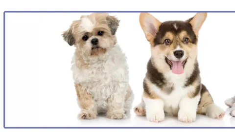 Pretti-Pet Inc Mobile Salon - Image 1