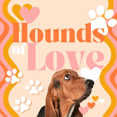 Hounds of Love in Louisville, KY
