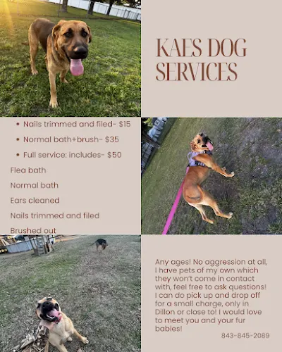 Kaes dog services - Image 1