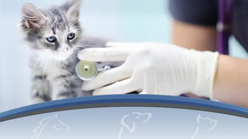 Southwest Florida Veterinary Services - Image 1