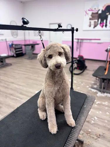Happy Hippie Paws Dog Grooming - Image 1