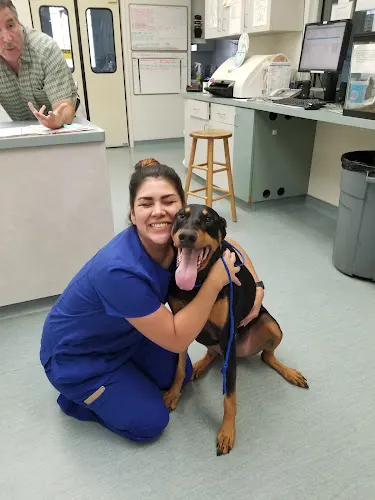 Easton Commons Animal Hospital - Image 1