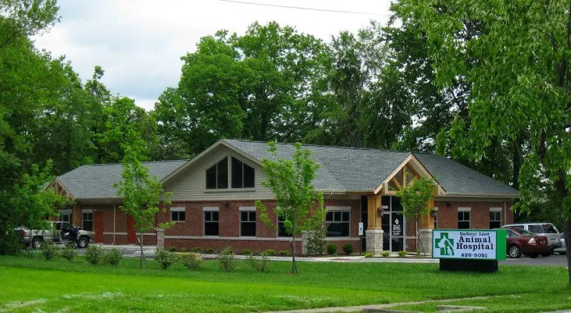 Barbour Lane Animal Hospital - Image 1