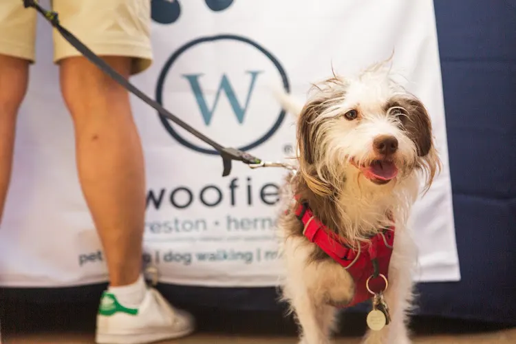 Woofie’s® Reston-Herndon-Sterling - Image 1
