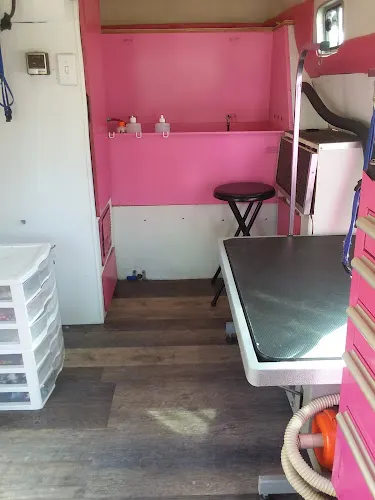 Pretty Pets Mobile Grooming - Image 1