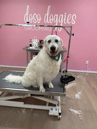 Doso Doggies Grooming - Image 1
