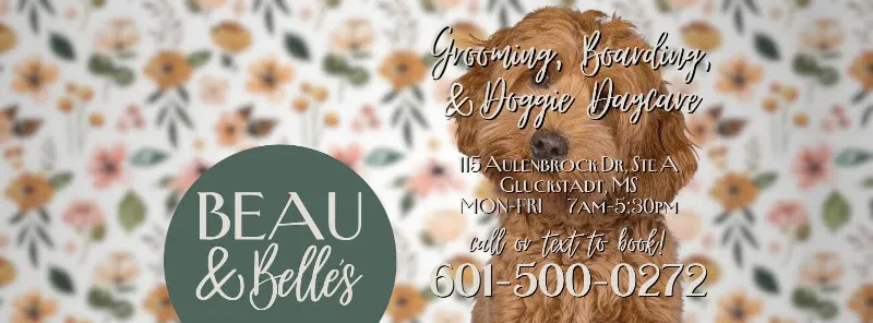 Beau & Belle's Dog Grooming (Beau and Belle's) - Image 1