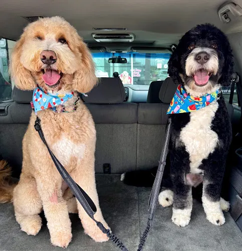 Woof Gang Bakery & Grooming Magnolia Village - Image 1