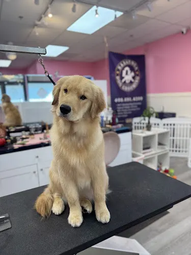 Saratoga Dog Grooming - Image 1