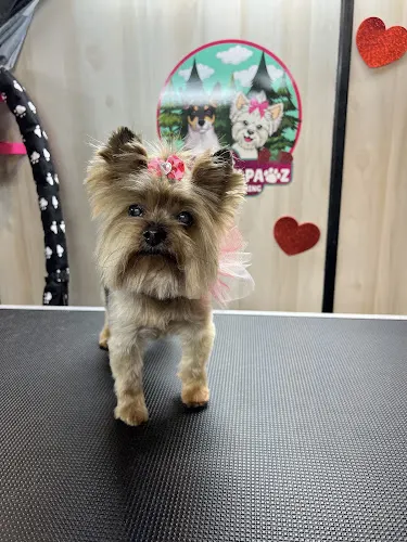 Southern Pawz Mobile Grooming - Image 1