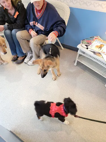 Youngsville Veterinary Clinic - Image 1
