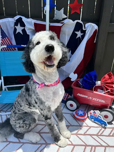 Pampered Pets on Joan Ave, LLC. - Image 1