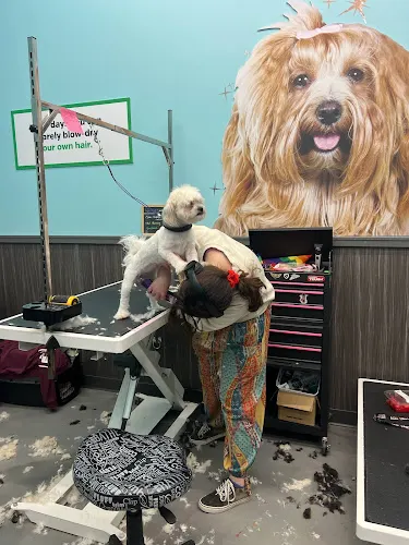 Pet Supplies Plus Marshfield Grooming - Image 1