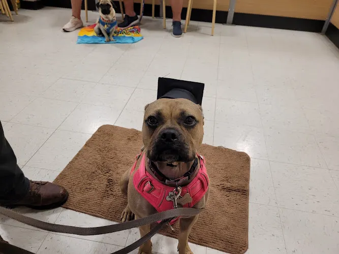 PetSmart Grooming in Eagan, MN