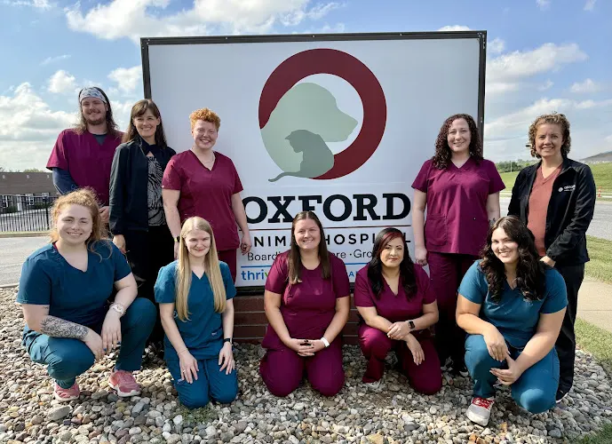 Oxford Animal Hospital, A Thrive Pet Healthcare Partner - Image 1