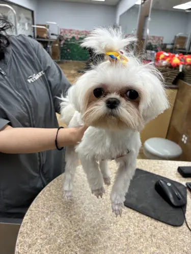 PetSmart Grooming in Tulsa, OK