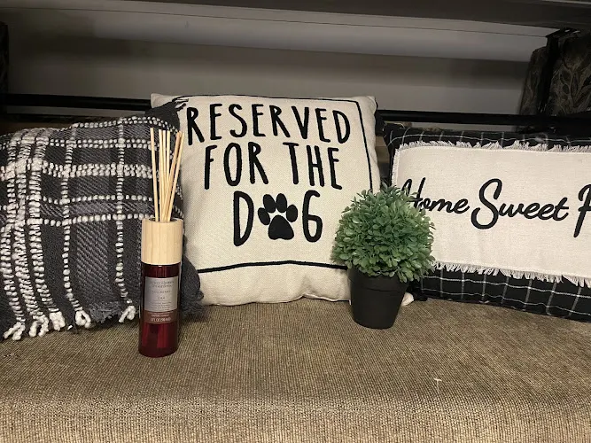 High Class Hounds Mobile Grooming Lounge - Image 1