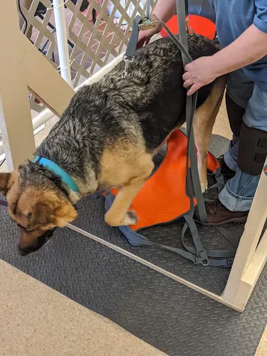 The Grubby Pup/Superior Puppy Obedience Training LLC - Image 1