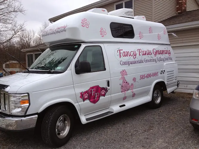 Fancy Pants Grooming - Mobile - Image 1