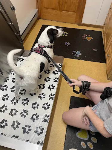English Creek Veterinary Clinic - Image 1