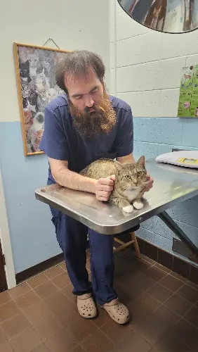 West Haven Animal Clinic in West Haven, CT