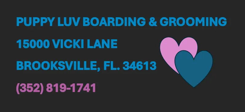 Puppy Luv Boarding & Grooming - Image 1