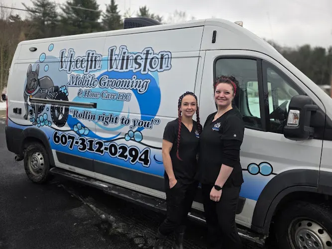 Wheelin Winston Mobile Grooming and Home Care LLC - Image 1