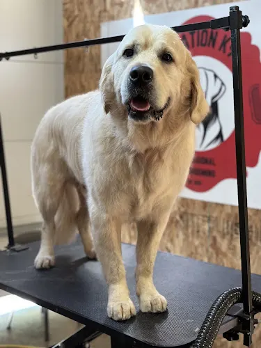 Station K9 Grooming in Maple Falls, WA