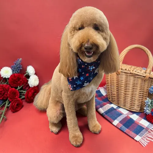Georgia K9 Beauty Consultants - Image 1