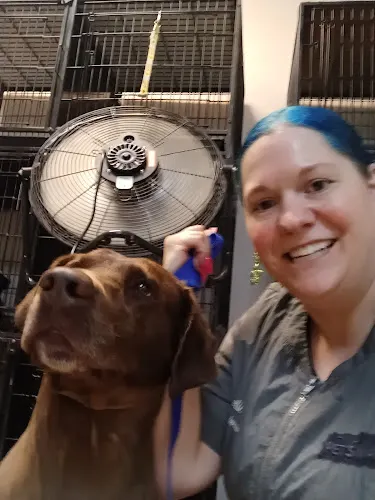 Momma's Spot-on Pet Grooming - Image 1