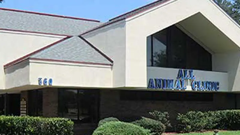 VCA All Animal Hospital of Orange Park - Image 1