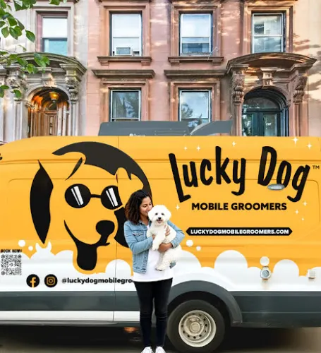 Lucky Dog Mobile Groomers - Charleston, WV - Image 1
