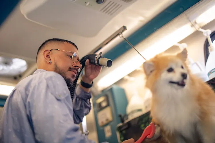 Bark Barber Mobile Spa - Image 1