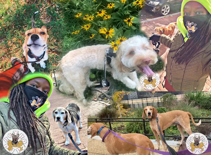 Retro Pupz - Image 1