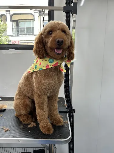 Lakeside Grooming & Pet Supply LLC - Image 1