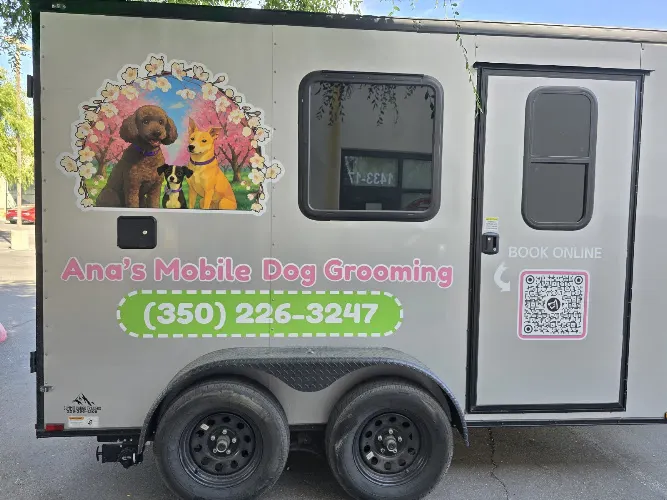 Ana's Mobile Dog Grooming - Image 1